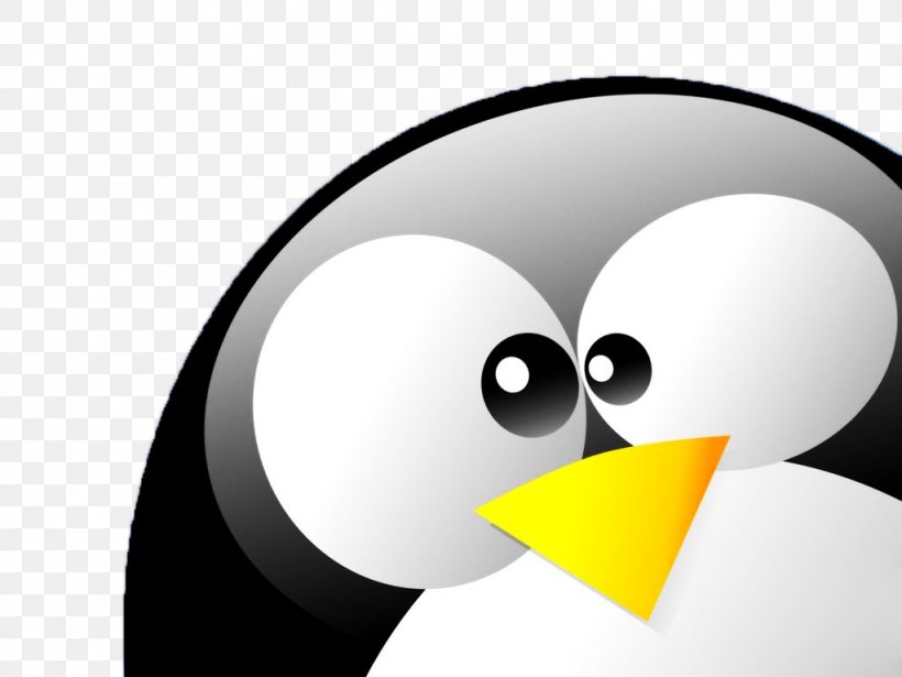 Tux Penguin Desktop Wallpaper Linux Foundation, PNG, 1024x768px, Tux, Beak, Bird, Desktop Environment, Display Resolution Download Free