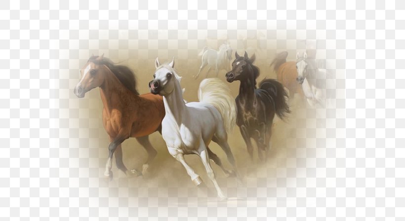 Algeria Horse Painting Painter Art, PNG, 600x448px, Algeria, Art, Artist, Claude Monet, Foal Download Free