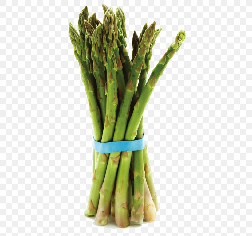 Bunch Of Asparagus Sutcliffe Farms Vegetarian Cuisine, PNG, 415x769px, Asparagus, Bunch Of Asparagus, Commodity, Food, Pdf Download Free