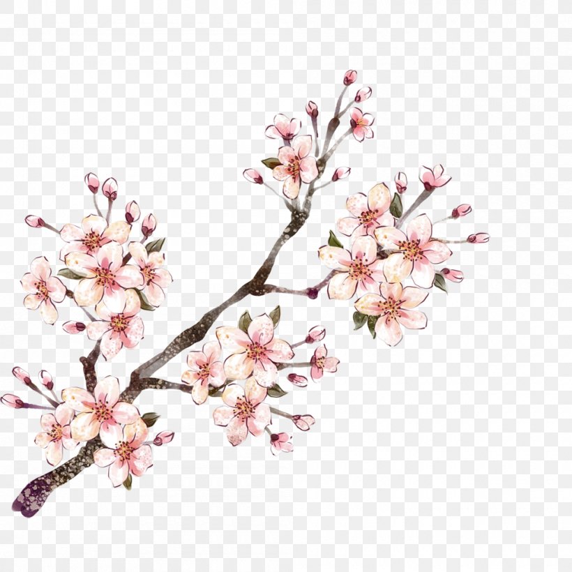 Download Illustration, PNG, 1000x1000px, Pixel, Blossom, Branch, Cherry Blossom, Cut Flowers Download Free