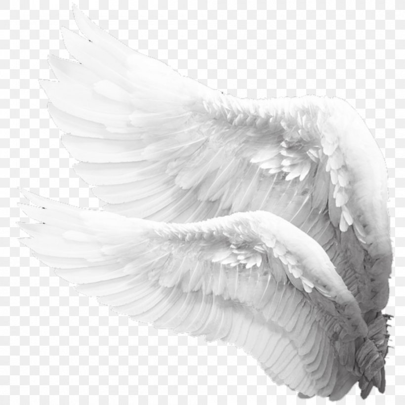 Drawing Image Angel Stock Photography Painting, PNG, 1000x1000px, Drawing, Angel, Art, Art Museum, Beak Download Free