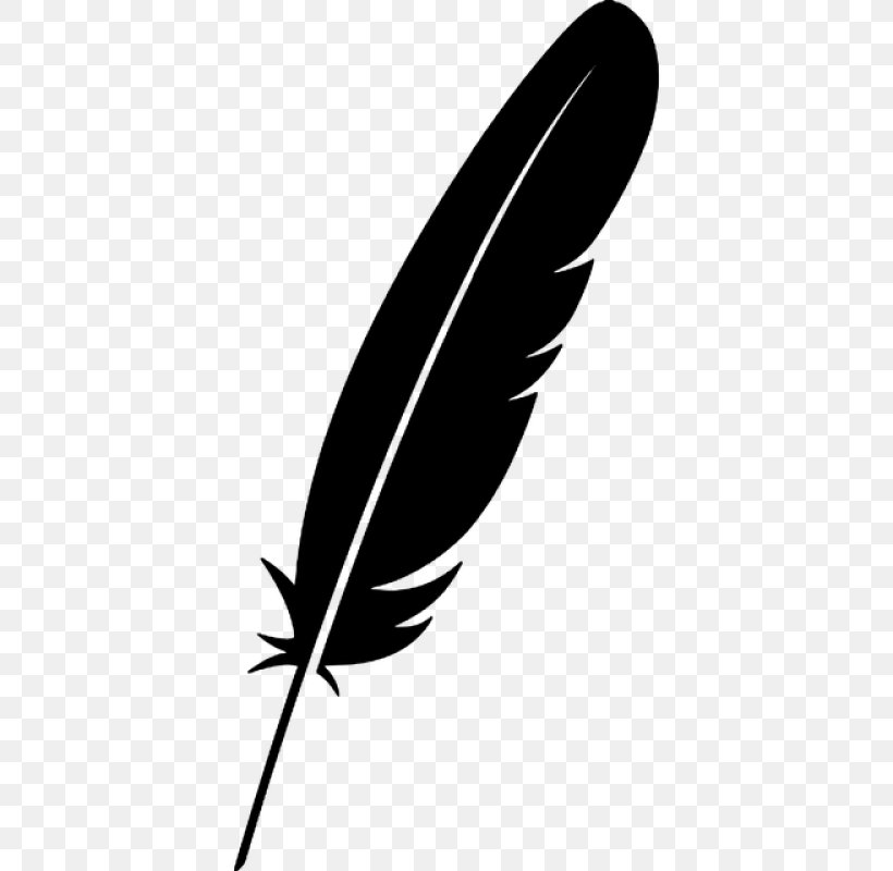 Feather, PNG, 800x800px, Feather, Black, Blackandwhite, Leaf, Pen Download Free