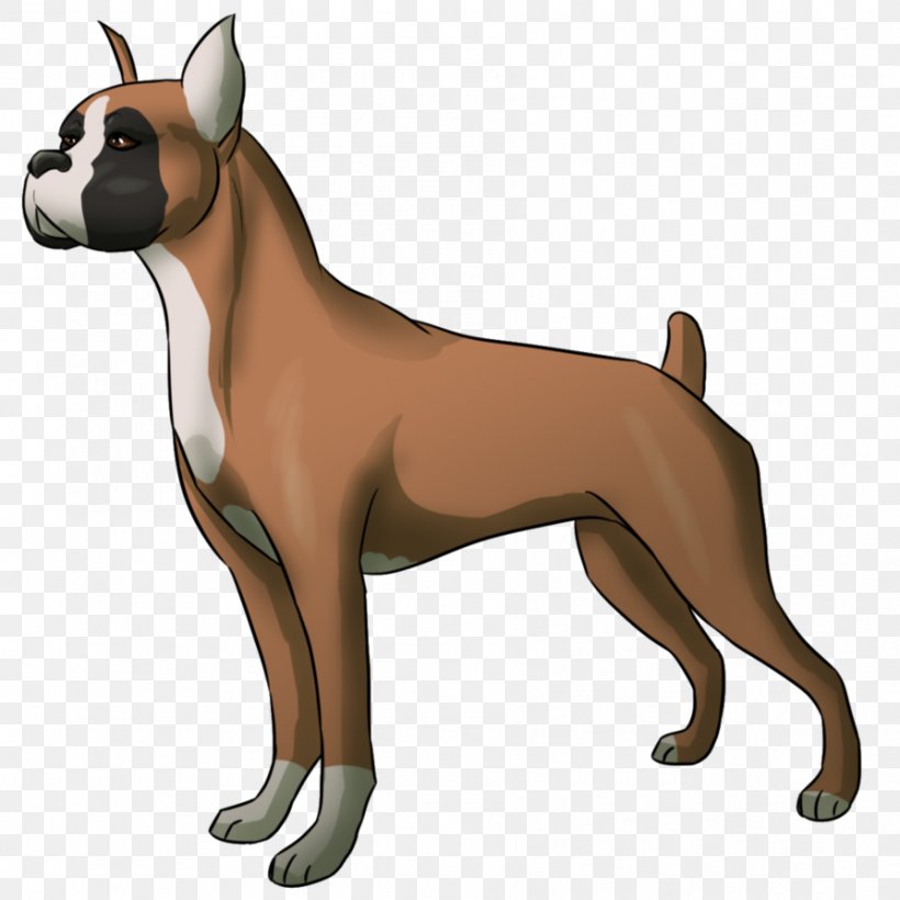 Ancient Dog Breeds Boxer Snout Breed Group (dog), PNG, 894x894px, Dog Breed, Ancient Dog Breeds, Boxer, Breed, Breed Group Dog Download Free