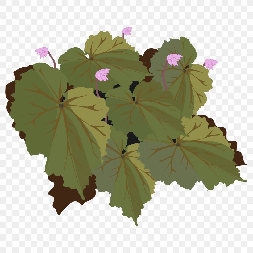 Begonia Drawing Clip Art, PNG, 2400x2400px, Begonia, Annual Plant, Blog, Drawing, Flower Download Free