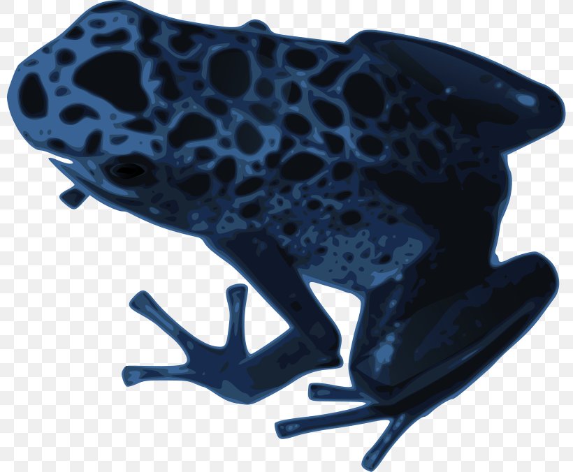 Blue Poison Dart Frog Clip Art, PNG, 800x676px, Frog, Amphibian, Blue Poison Dart Frog, Organism, Pixabay Download Free
