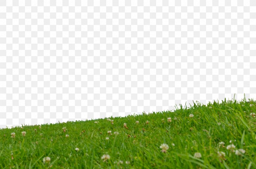 Lawn Grassland Slope Meadow Artificial Turf, PNG, 1098x727px, Lawn, Artificial Turf, Crop, Field, Grass Download Free