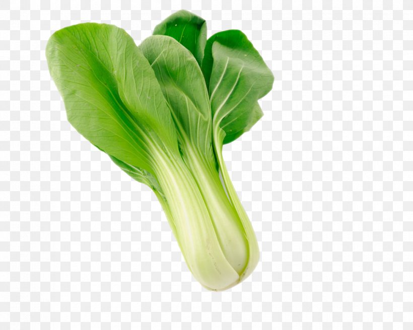 Napa Cabbage Organic Food Vegetable Bok Choy, PNG, 970x776px, Cabbage, Bok Choy, Brassica Oleracea, Chinese Cabbage, Choy Sum Download Free