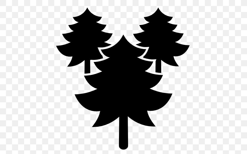 Pine Tree Cedar, PNG, 512x512px, Pine, Arecaceae, Black And White, Branch, Cedar Download Free