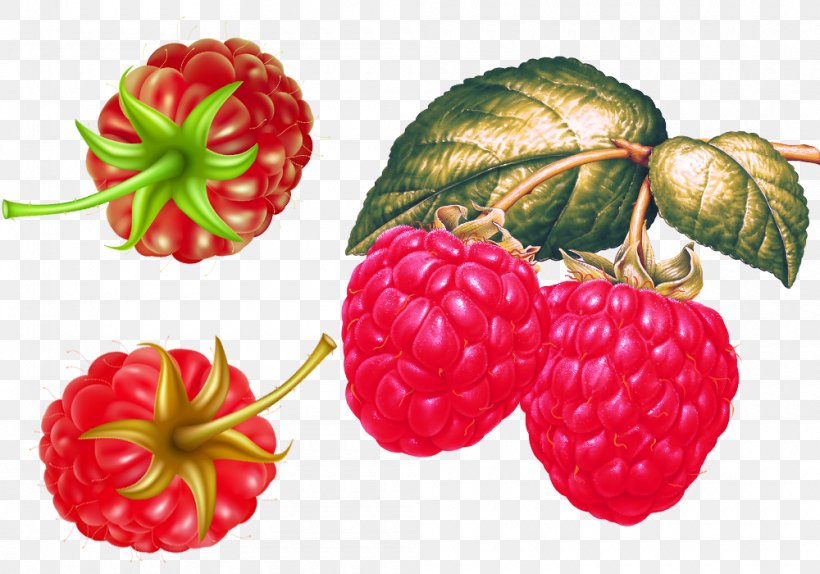 Red Raspberry Strawberry Fruit, PNG, 1000x700px, Raspberry, Accessory Fruit, Auglis, Berry, Blackberry Download Free