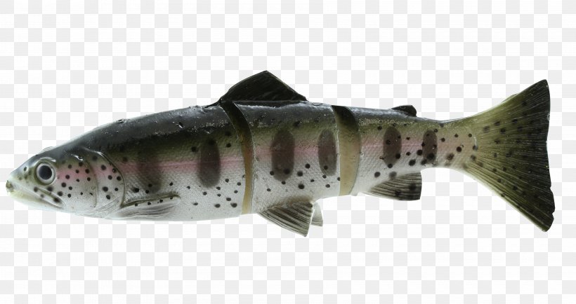 Swimbait Rainbow Trout Fishing Baits & Lures, PNG, 3600x1908px, 3d Scanner, Swimbait, Angling, Bony Fish, Cod Download Free