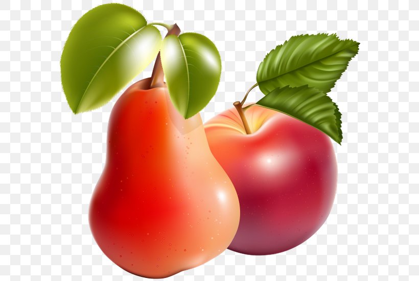 Apple Clip Art, PNG, 600x551px, Apple, Accessory Fruit, Acerola, Acerola Family, Apple Photos Download Free