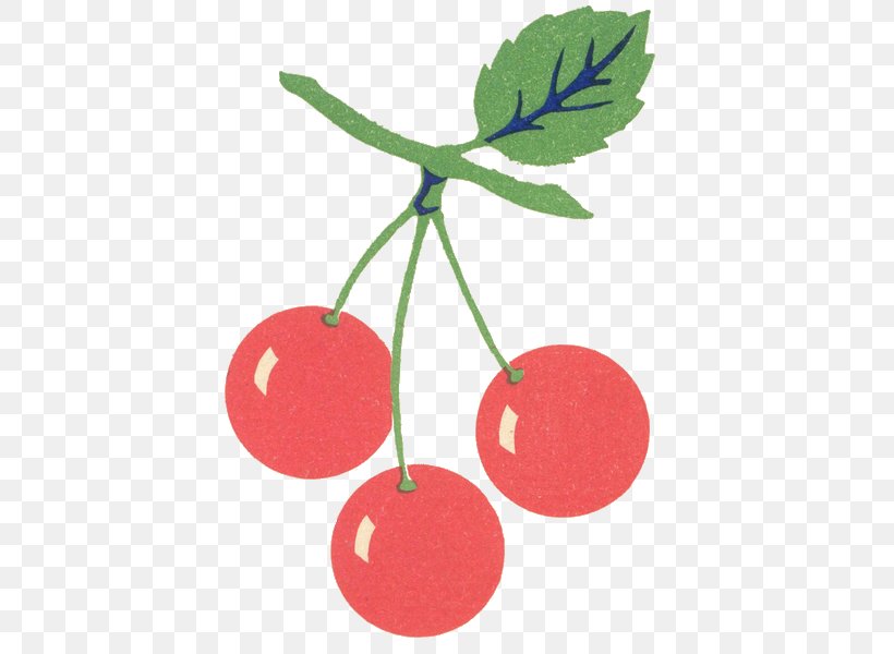 Cherry Clip Art, PNG, 451x600px, Cherry, Art, Drawing, Food, Fruit Download Free