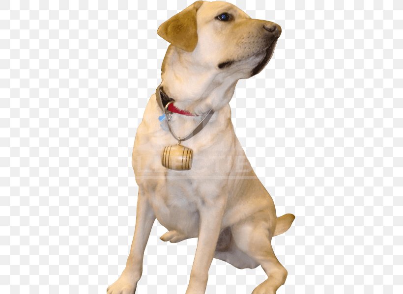 Labrador Retriever Dog Breed Barrel Companion Dog Dog Collar, PNG, 599x599px, Labrador Retriever, Barrel, Breed, Bung, Carnivoran Download Free