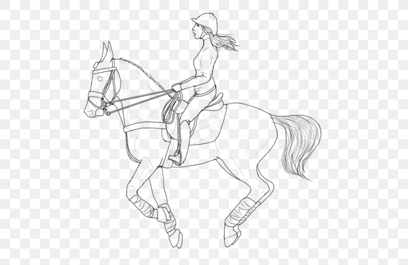 American Paint Horse Pony Line Art Horse Tack Rearing, PNG, 800x533px, American Paint Horse, Arm, Artwork, Bit, Black And White Download Free