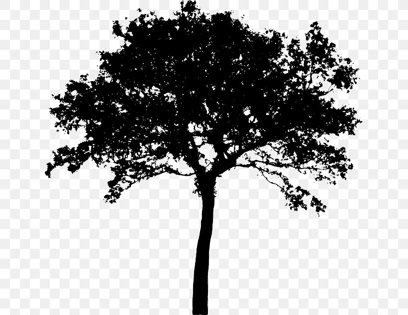 Silhouette Tree Clip Art, PNG, 640x633px, Silhouette, Art, Black And White, Branch, Drawing Download Free