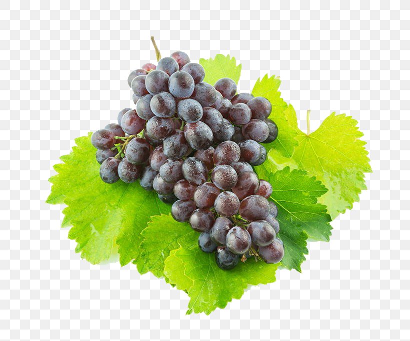Sultana Juice Grape Zante Currant, PNG, 772x683px, Sultana, Auglis, Currant, Food, Fruit Download Free