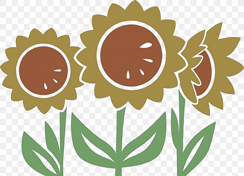 Sunflower Summer, PNG, 3000x2164px, Sunflower, Chrysanthemum, Cut Flowers, Drawing, Floral Design Download Free