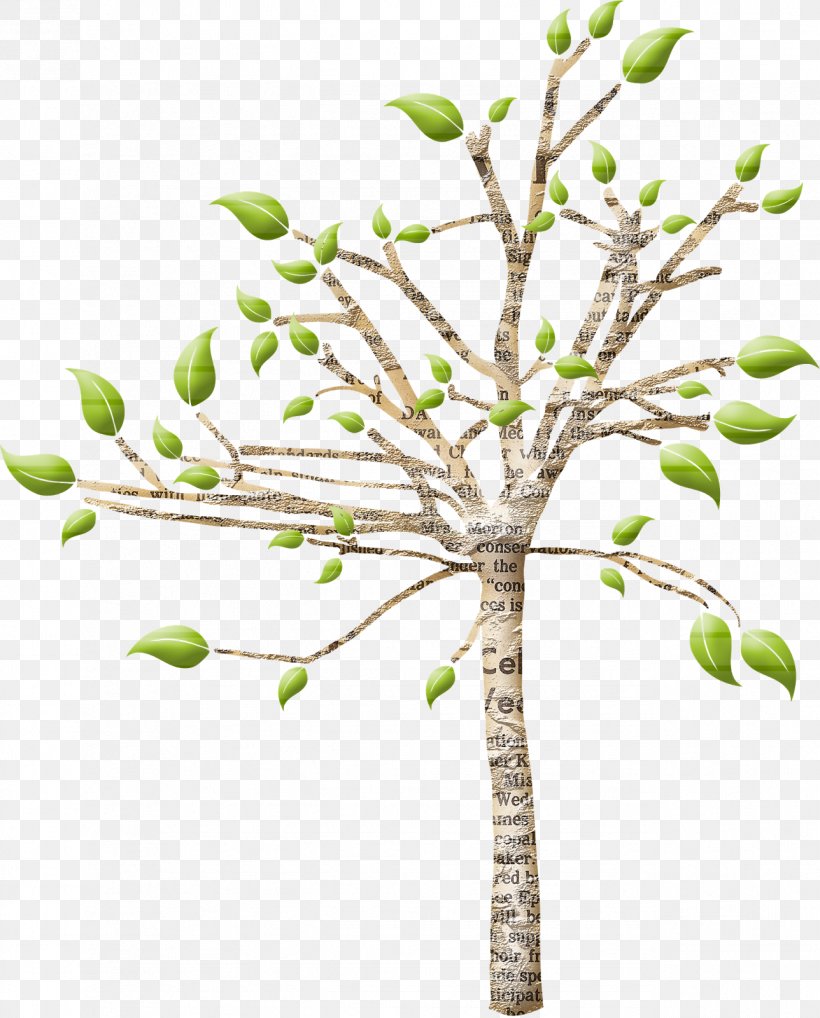 Twig Tree Plant Stem Houseplant, PNG, 1288x1600px, Twig, Branch, Branching, Houseplant, Plant Download Free