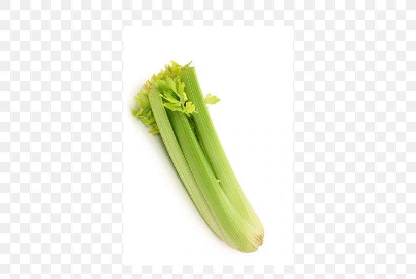 Vegetarian Cuisine Scallion Milk Vegetable Celery, PNG, 550x550px, Vegetarian Cuisine, Bitter Melon, Celery, Commodity, Dairy Products Download Free