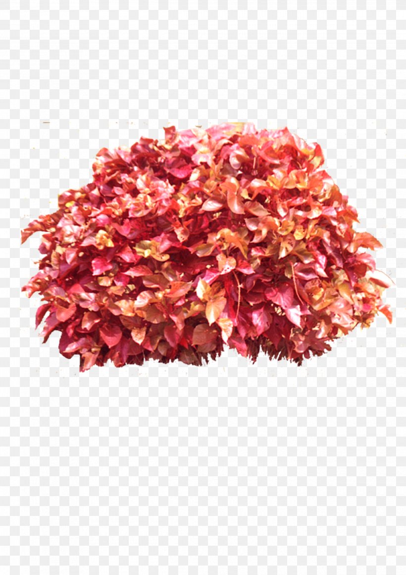 Download Icon, PNG, 2480x3508px, 3d Computer Graphics, Leaf, Computer Network, Crushed Red Pepper, Data Download Free