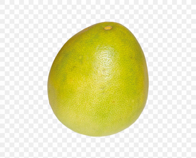 Key Lime Sweet Lemon Citron, PNG, 1192x968px, Lime, Apple, Citric Acid, Citron, Citrus Download Free