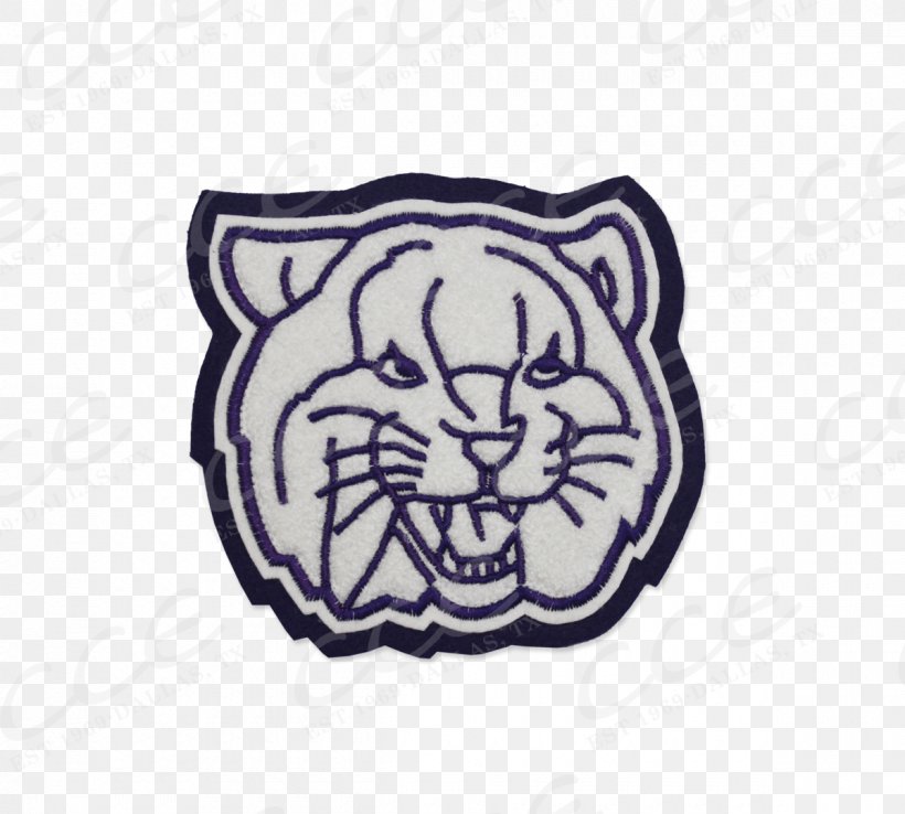 Willis Spring High School The Woodlands Christian Academy Westfield High School Houston, PNG, 1200x1080px, Willis, Houston, Logo, Mascot, National Secondary School Download Free