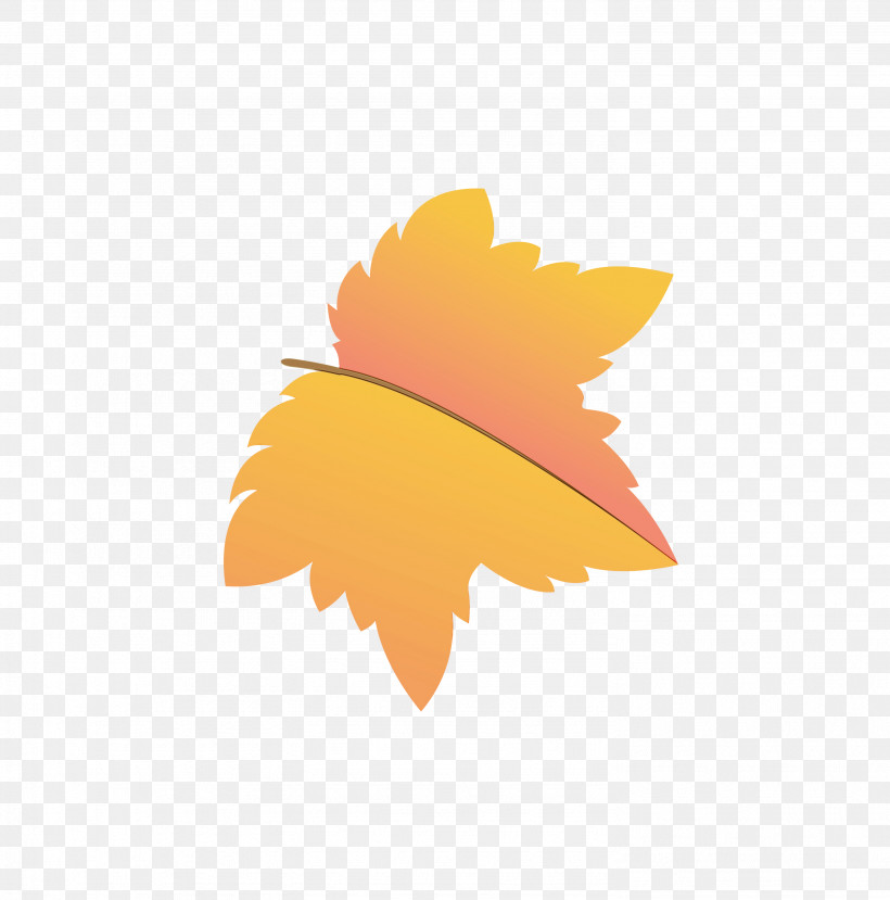 Maple Leaf, PNG, 2964x3000px, Autumn Leaf, Biology, Cartoon Leaf, Computer, Fall Leaf Download Free