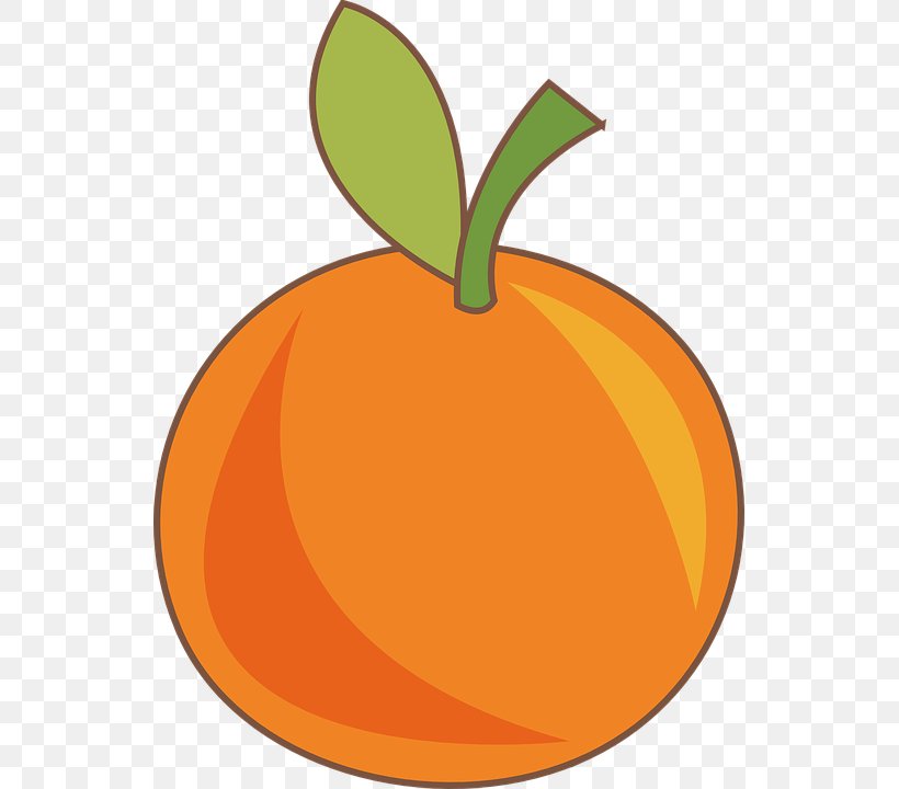 Orange S.A. Fruit Food Drawing, PNG, 539x720px, Orange, Apple, Banana, Calabaza, Commodity Download Free