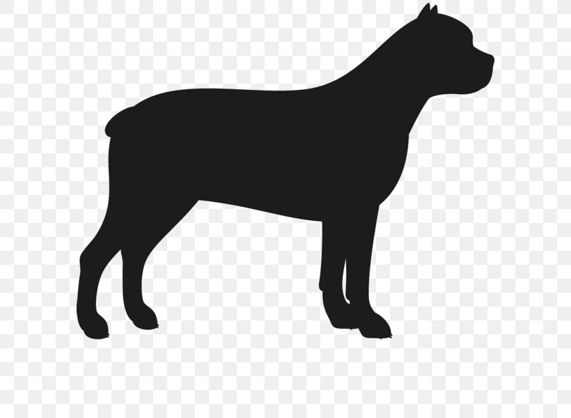 American Staffordshire Terrier Staffordshire Bull Terrier Horse, PNG, 600x600px, American Staffordshire Terrier, Black, Black And White, Bull Terrier, Carnivoran Download Free