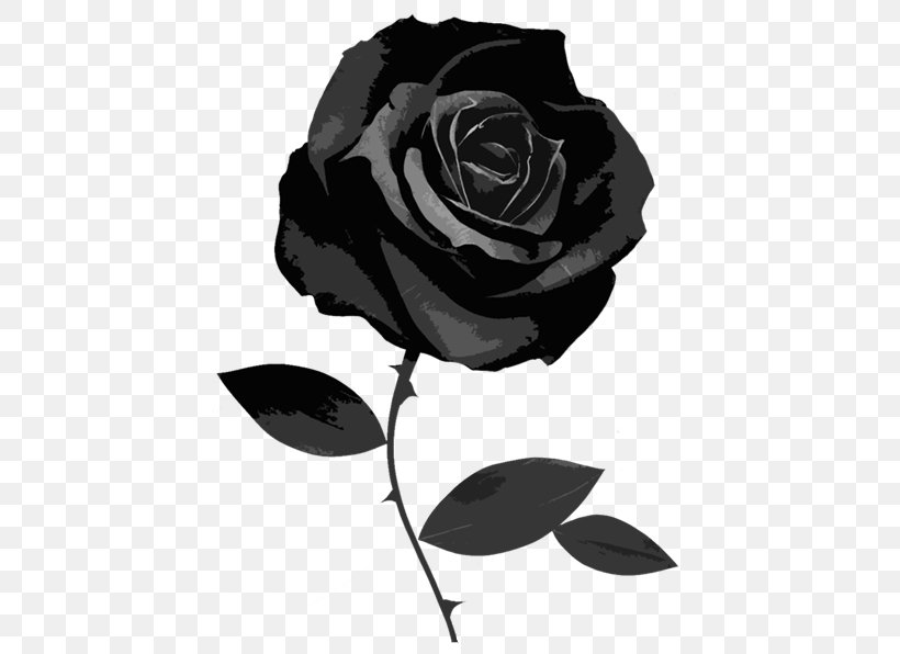 Black Rose Desktop Wallpaper Clip Art, PNG, 780x596px, Black Rose, Black, Black And White, Cut Flowers, Flower Download Free