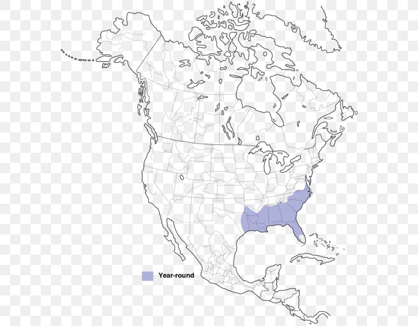 Cornell Lab Of Ornithology Brown-headed Nuthatch Birds Of North America All About Birds, PNG, 588x640px, Cornell Lab Of Ornithology, All About Birds, Area, Artwork, Bird Download Free