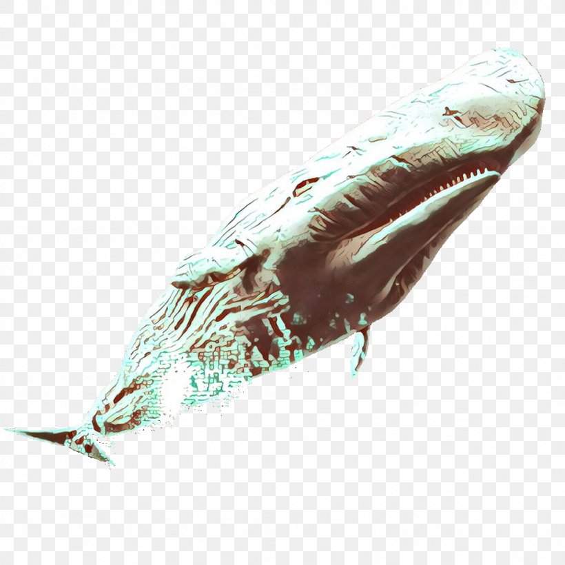 Marine Mammal Humpback Whale Cetacea Whale Blue Whale, PNG, 1024x1024px, Cartoon, Blue Whale, Cetacea, Humpback Whale, Marine Mammal Download Free