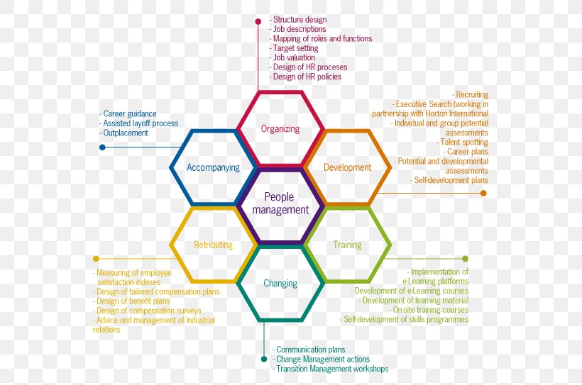 People Management Grant Thornton LLP Businessperson Project Management, PNG, 595x543px, Management, Area, Brand, Business, Businessperson Download Free