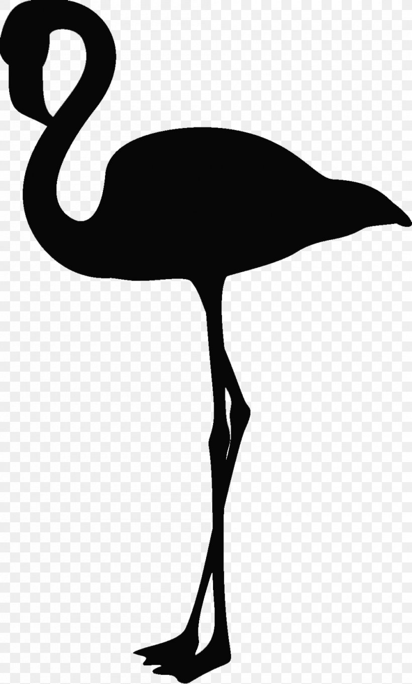Bird Flamingo Silhouette Beak Clip Art, PNG, 1000x1661px, Bird, Beak, Black And White, Color, Crane Like Bird Download Free