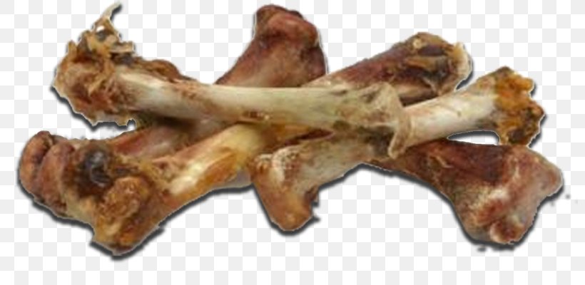 Bone Chicken As Food Roast Chicken Eating, PNG, 800x400px, Bone, Animal Source Foods, Broth, Chewing, Chicken Download Free