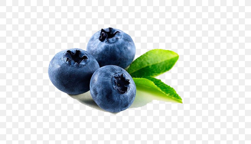 Dalian Blueberry Dandong Speciality U4e39u4e1cu7279u4ea7 Fruit Preserves, PNG, 600x472px, Dalian, Anthocyanin, Berry, Bilberry, Blueberry Download Free