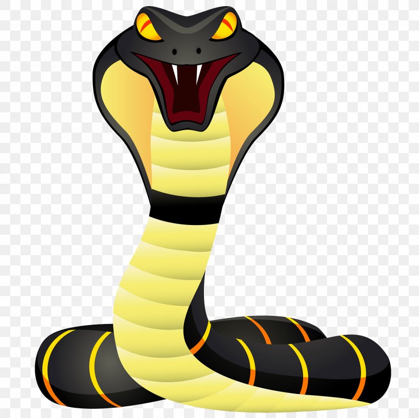 Snake King Cobra Cartoon, PNG, 1500x1499px, Snake, Cartoon, Cobra, Coral Snake, Fang Download Free