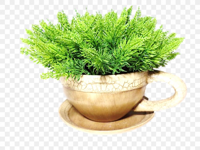 Flowerpot Herb Grasses Houseplant Family, PNG, 885x664px, Flowerpot, Family, Grass, Grass Family, Grasses Download Free