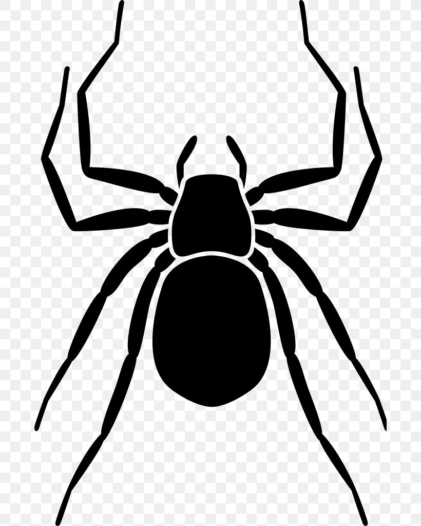Homo Sapiens Earth Spider Clip Art, PNG, 686x1024px, Homo Sapiens, Arachnid, Arthropod, Artwork, Black And White Download Free