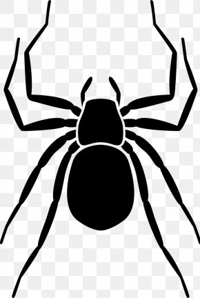 Earth - Homo Sapiens Earth Spider Clip Art PNG