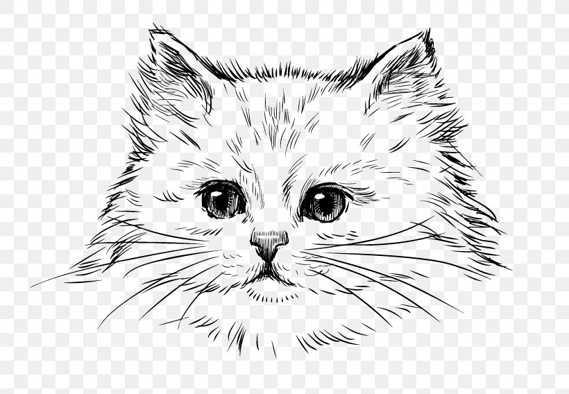 Persian Cat Kitten Drawing Cat Breed, PNG, 800x568px, Persian Cat, Artwork, Black, Black And White, Carnivoran Download Free