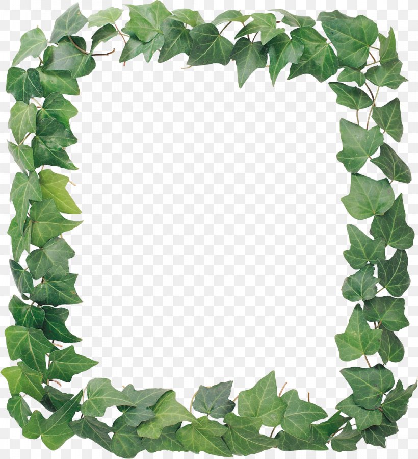 Picture Frames Clip Art, PNG, 983x1080px, Picture Frames, Film Frame, Flower, Grass, Green Download Free
