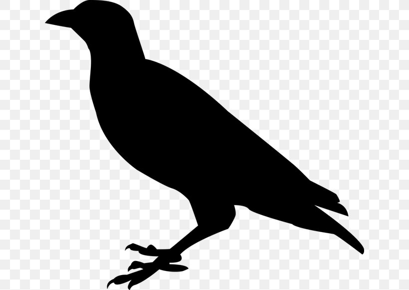 Silhouette Clip Art, PNG, 640x581px, Silhouette, Beak, Bird, Black And White, Common Raven Download Free