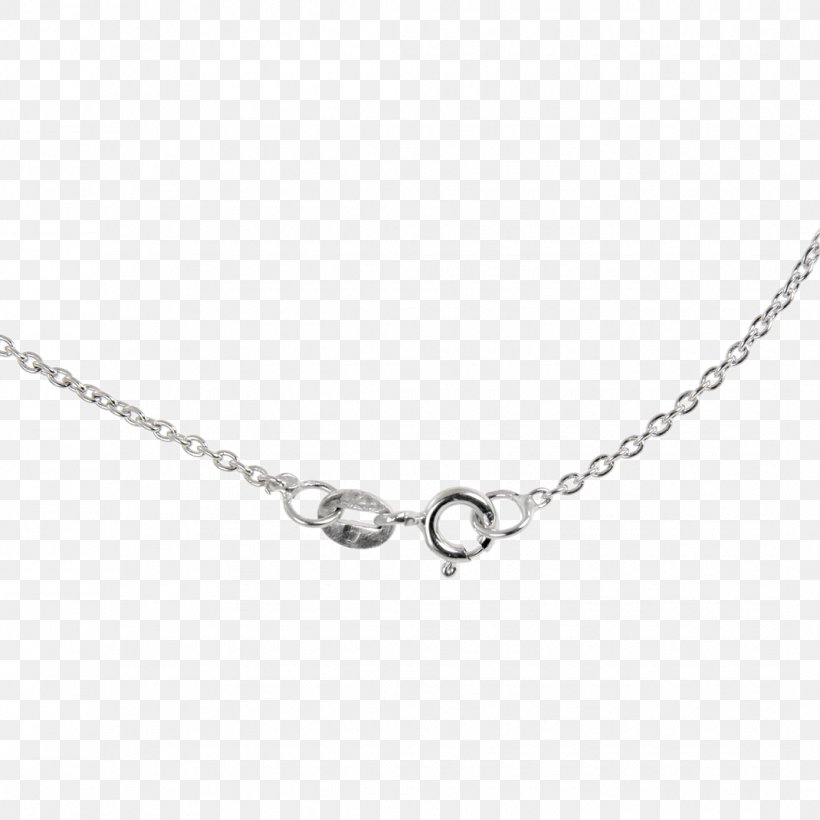 Necklace Charms & Pendants Earring Jewellery Chain, PNG, 1070x1070px, Necklace, Body Jewelry, Bracelet, Chain, Charms Pendants Download Free