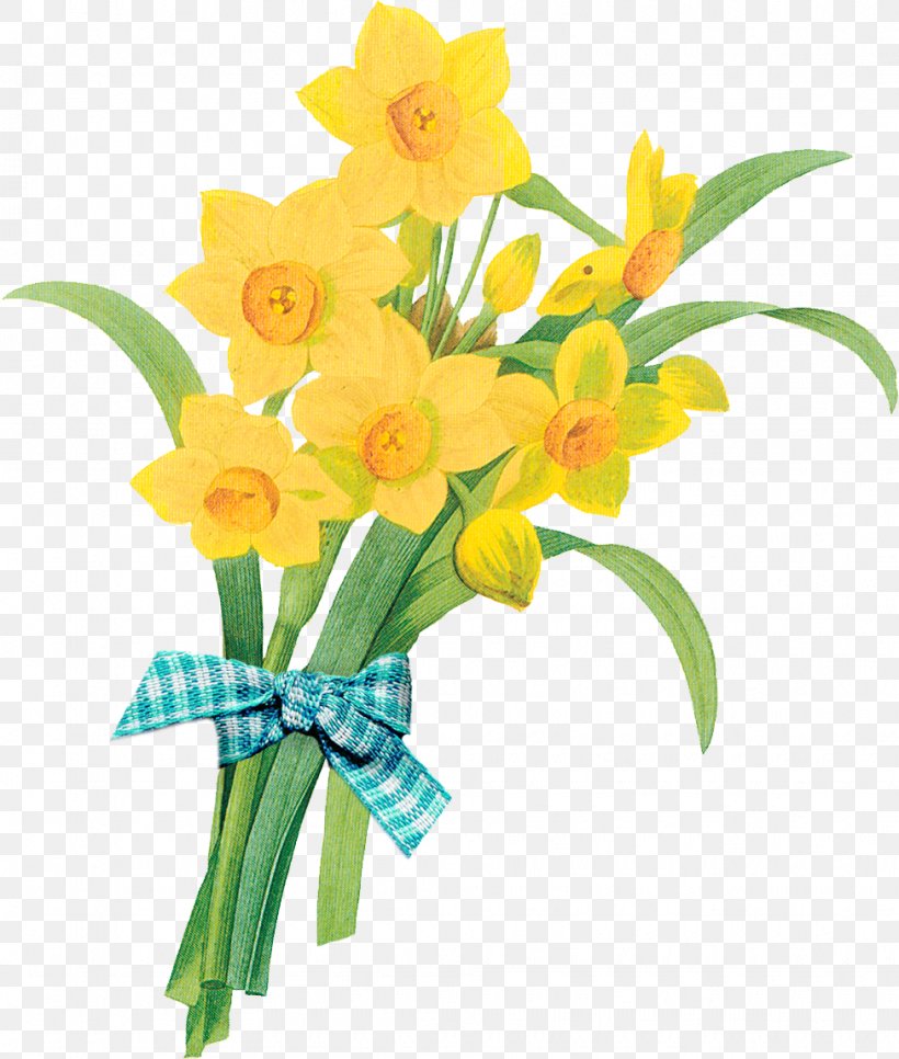 Botanical Illustration Printing Flower Antique Wild Daffodil, PNG, 975x1149px, Botanical Illustration, Amaryllis Family, Antique, Art, Botany Download Free