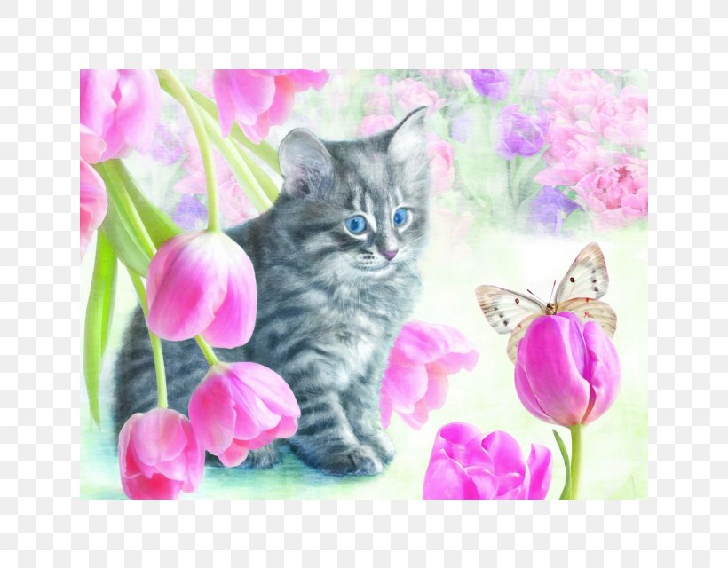 Kitten Jigsaw Puzzles Whiskers Cat Tulip, PNG, 640x640px, Kitten, Acrylic Paint, Carnivoran, Cat, Cat Like Mammal Download Free