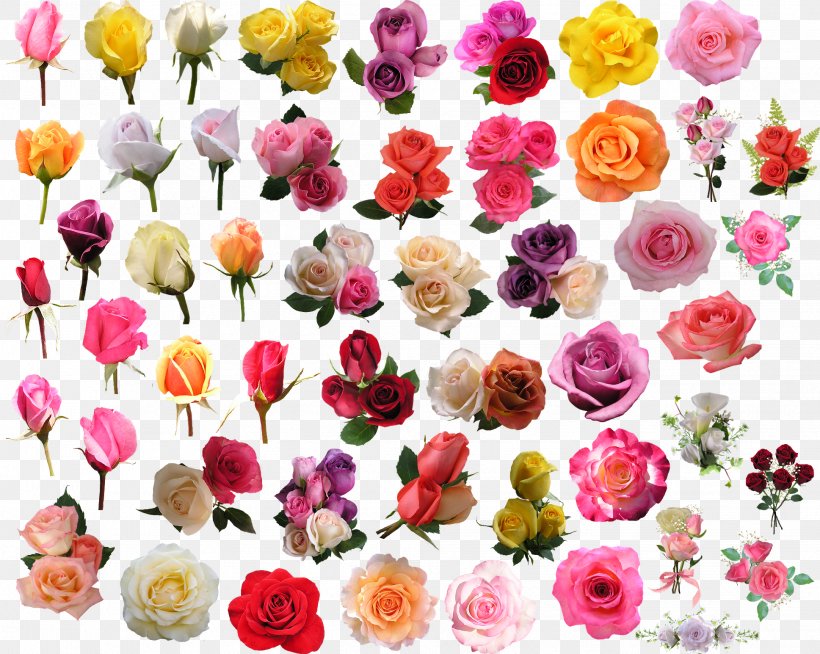 Cut Flowers Floral Design Garden Roses Centifolia Roses, PNG, 1937x1545px, Flower, Annual Plant, Artificial Flower, Centifolia Roses, Cut Flowers Download Free