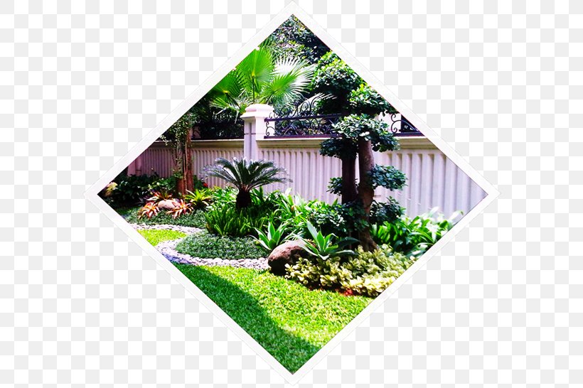 Jasa Pembuatan Taman, PNG, 595x546px, Garden, Gardening, Grass, Handyman, Hardscape Download Free