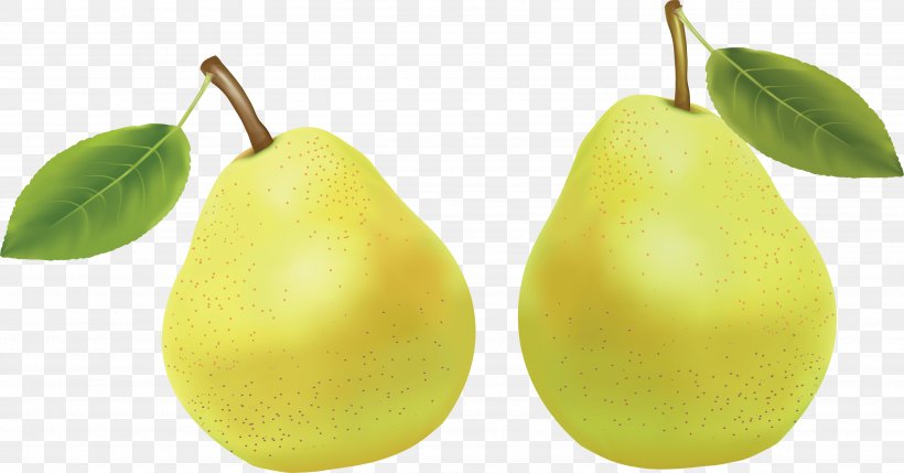 Pyrus × Bretschneideri Pyrus Nivalis PhotoScape Clip Art, PNG, 3534x1849px, Pyrus Nivalis, Auglis, Clipping Path, Food, Fruit Download Free