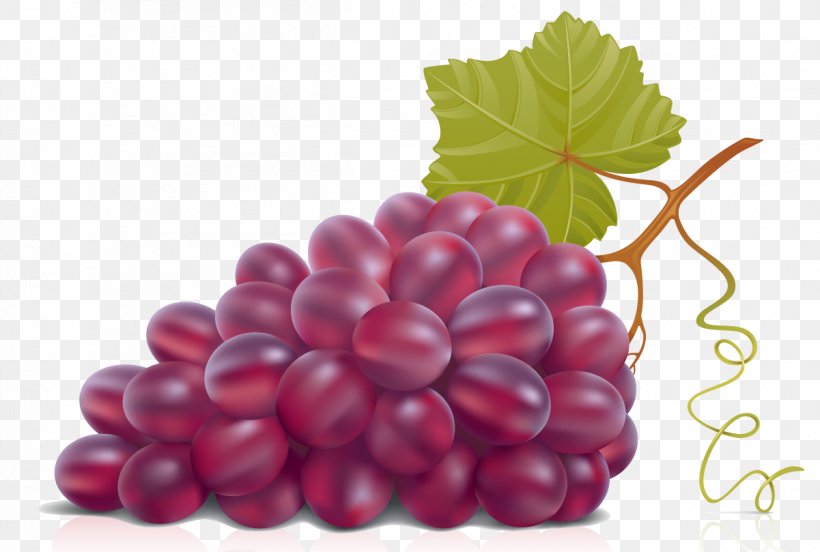 Wine Grape Leaves Clip Art, PNG, 1201x809px, Wine, Berry, Blackberry, Boysenberry, Cranberry Download Free